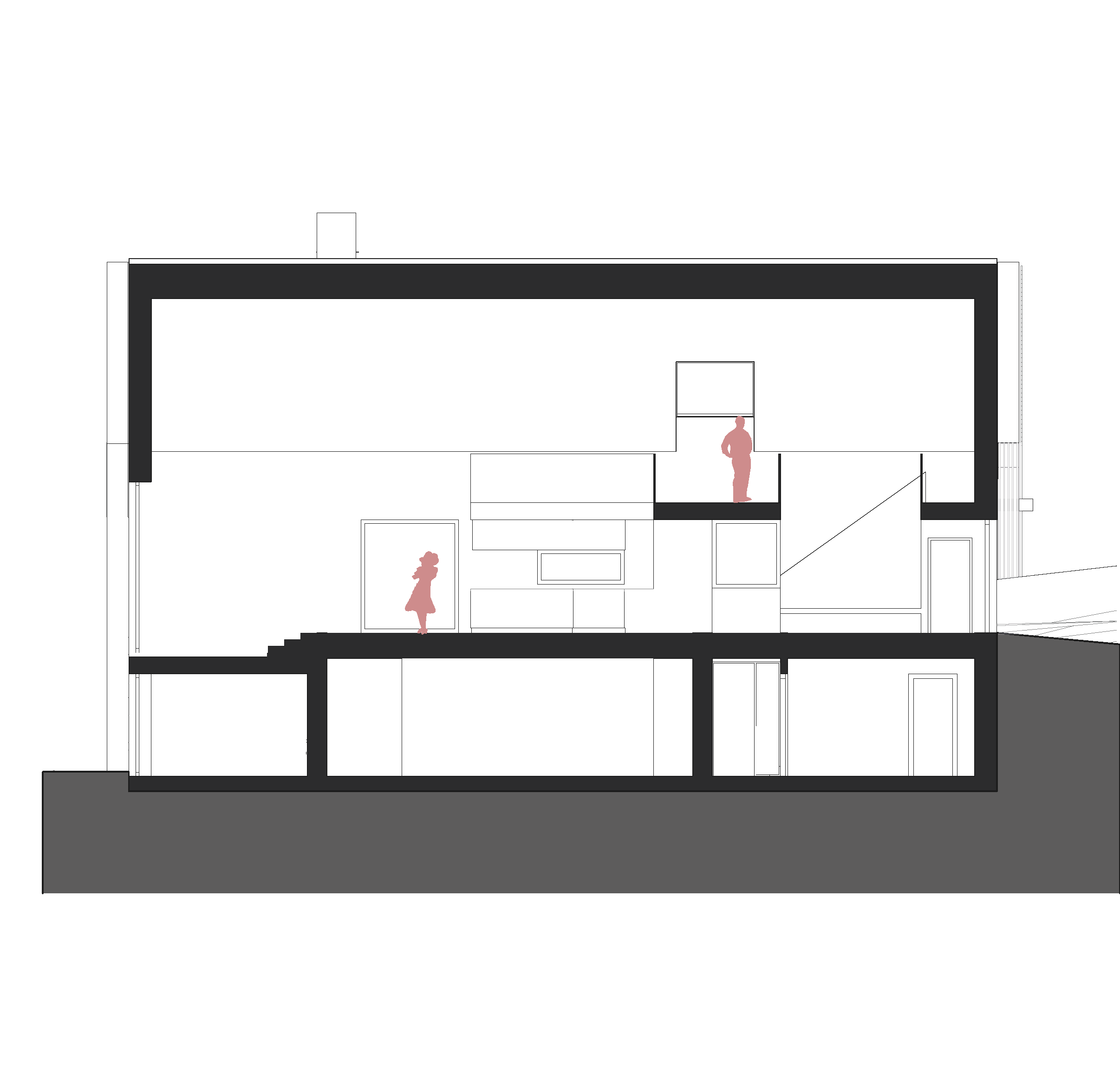 Neubau Haus RLS, Pöllau, Längsschnitt 1a